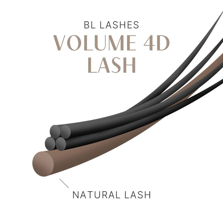 Volume 4D Lash