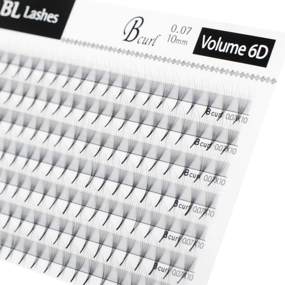 Volume 6D Lash